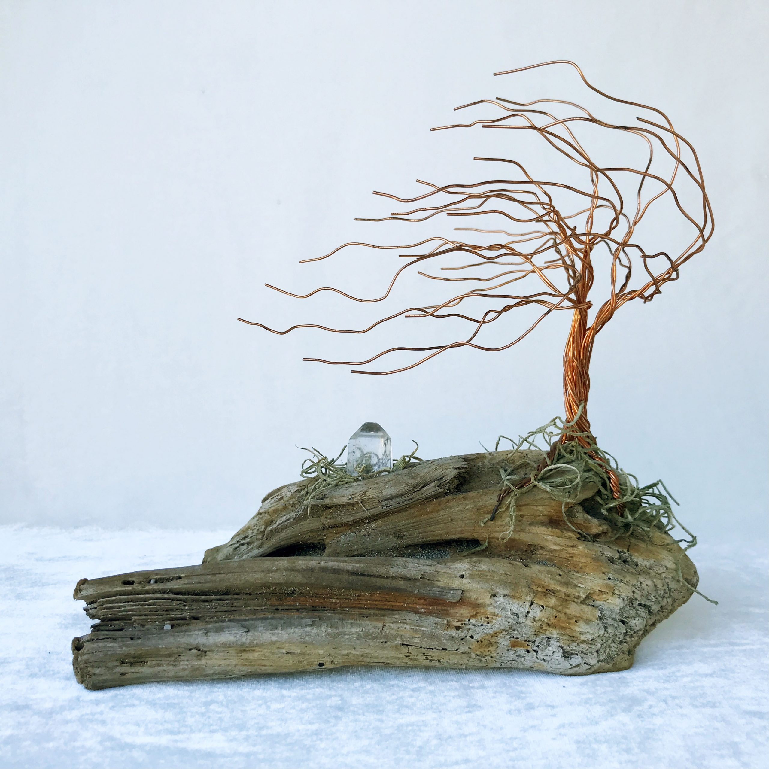 Product Photo #5